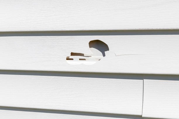 Trusted Colfax, LA Junk Removal Experts